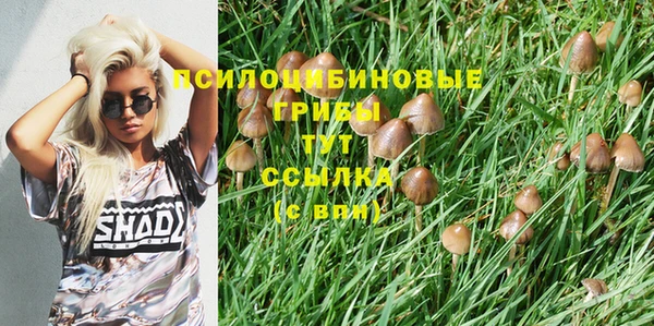 мяу мяу мука Алексеевка