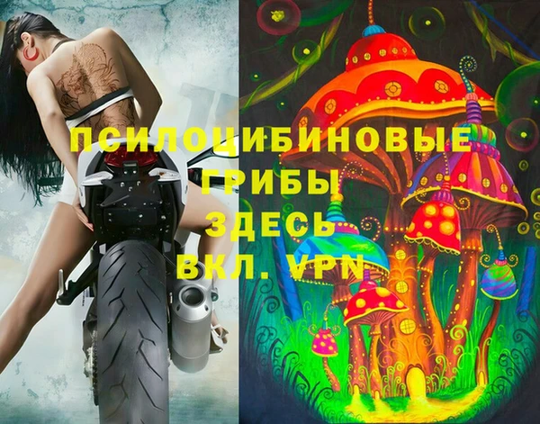 мяу мяу мука Алексеевка