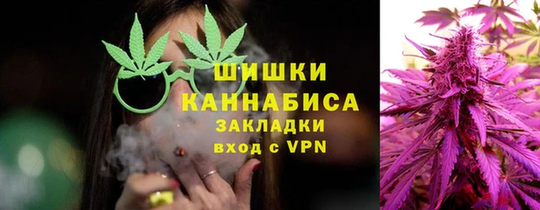 индика Саяногорск