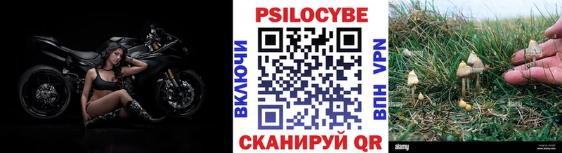 MEGA зеркало  что такое наркотик  Кинель  Галлюциногенные грибы ЛСД 